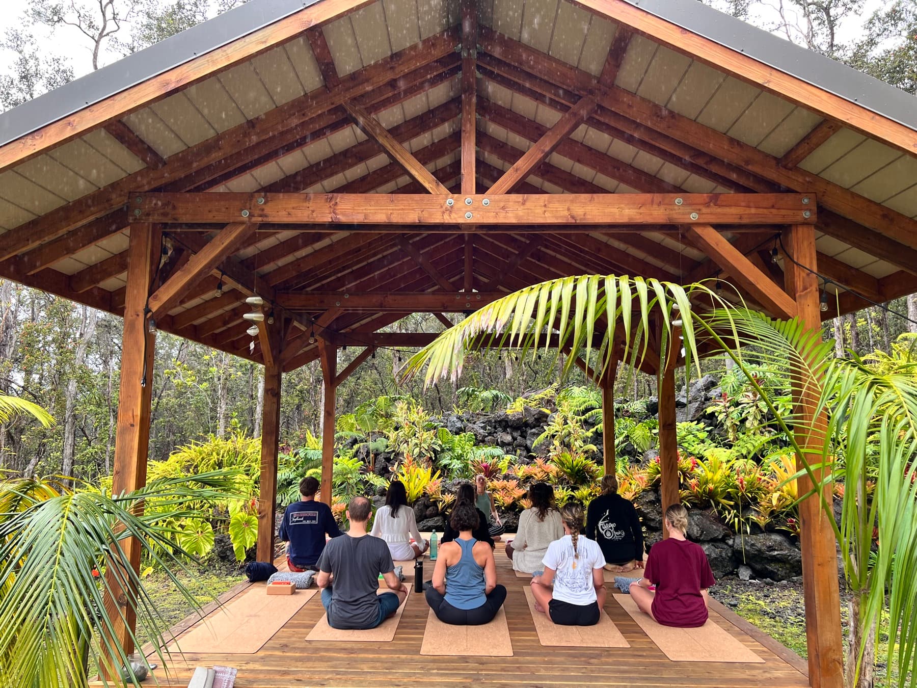 Moments in the cloud forest
