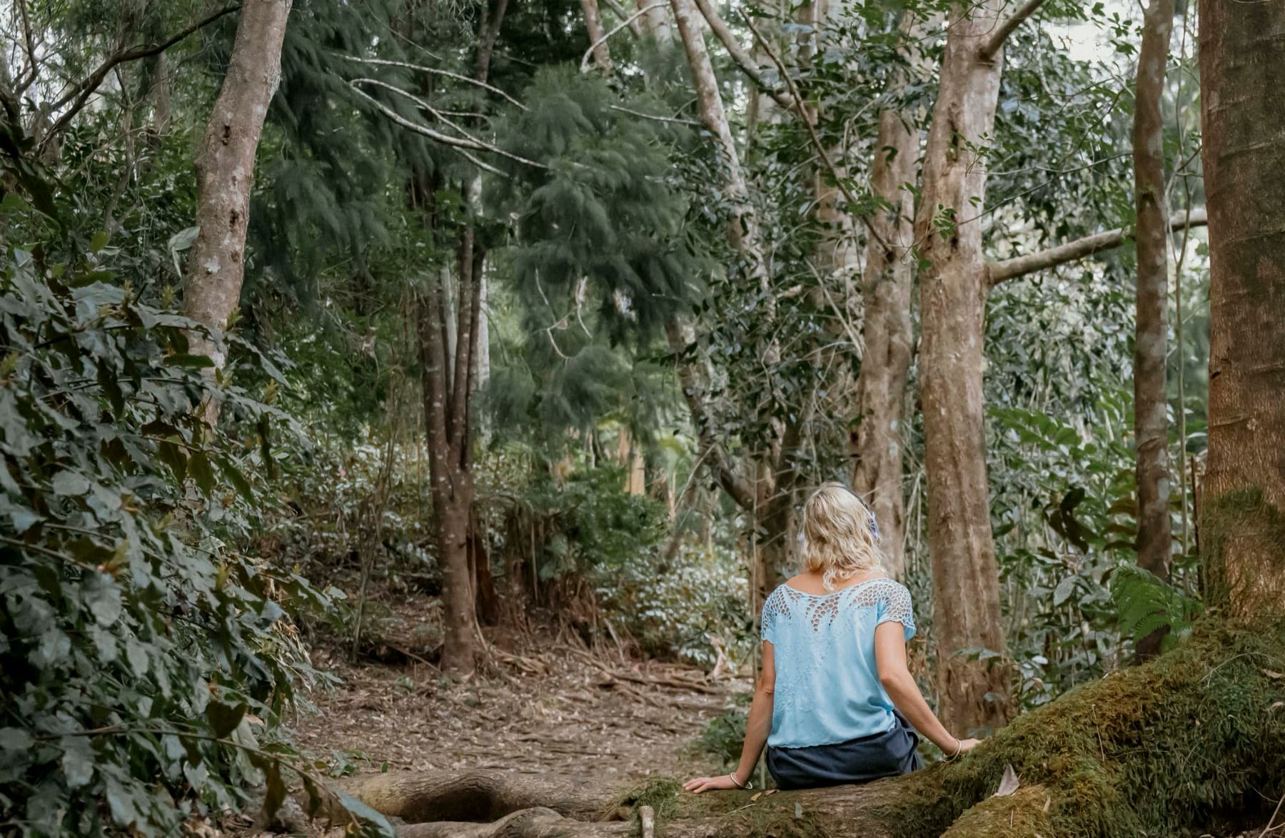 Moments in the cloud forest