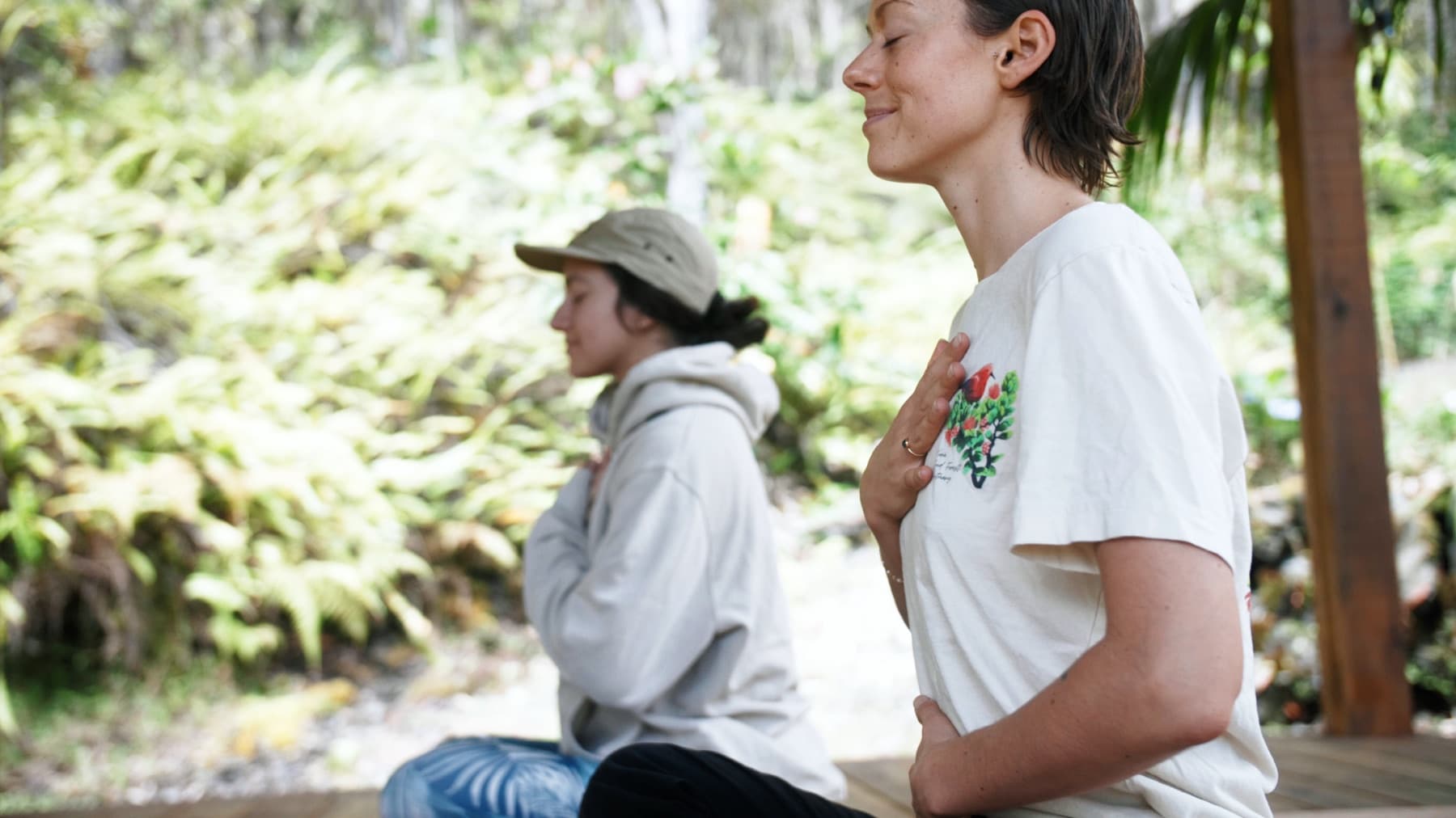 Moments in the cloud forest