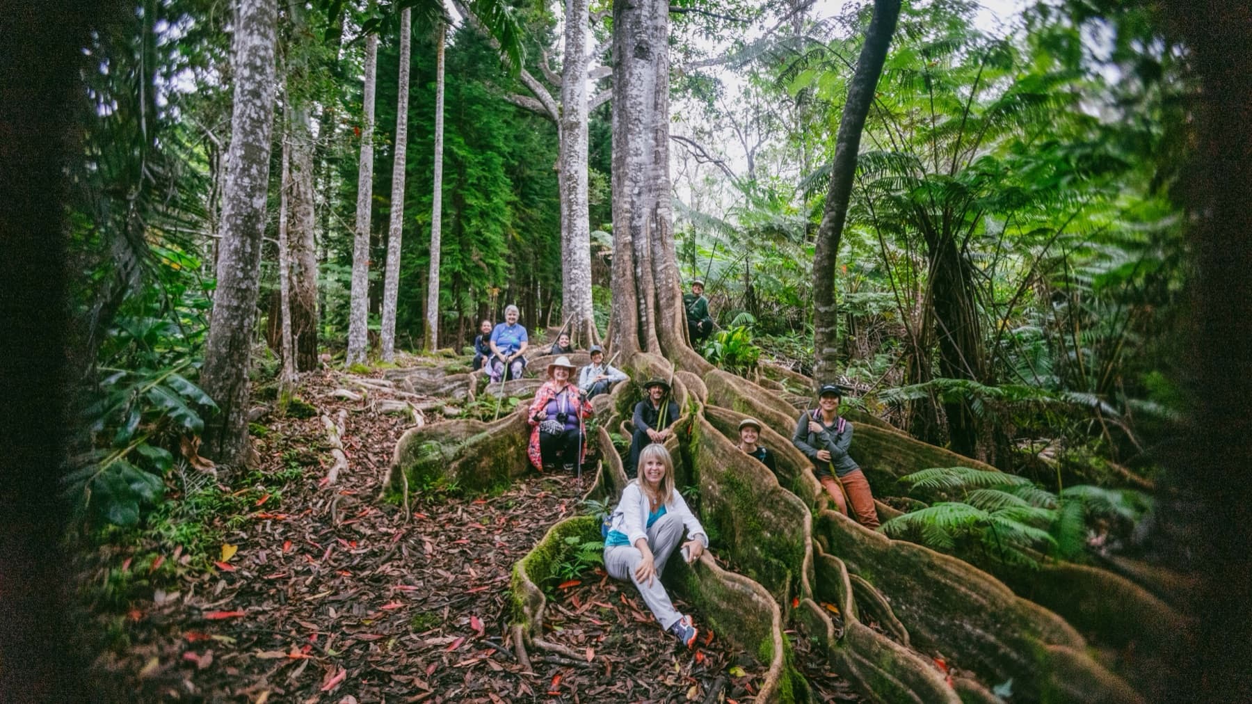 Moments in the cloud forest