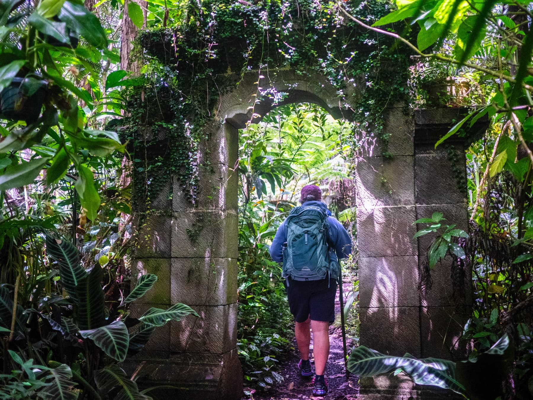 Moments in the cloud forest