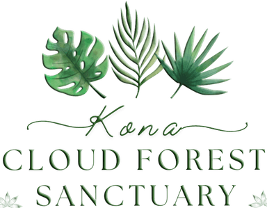 Kona Cloud Forest Sanctuary
