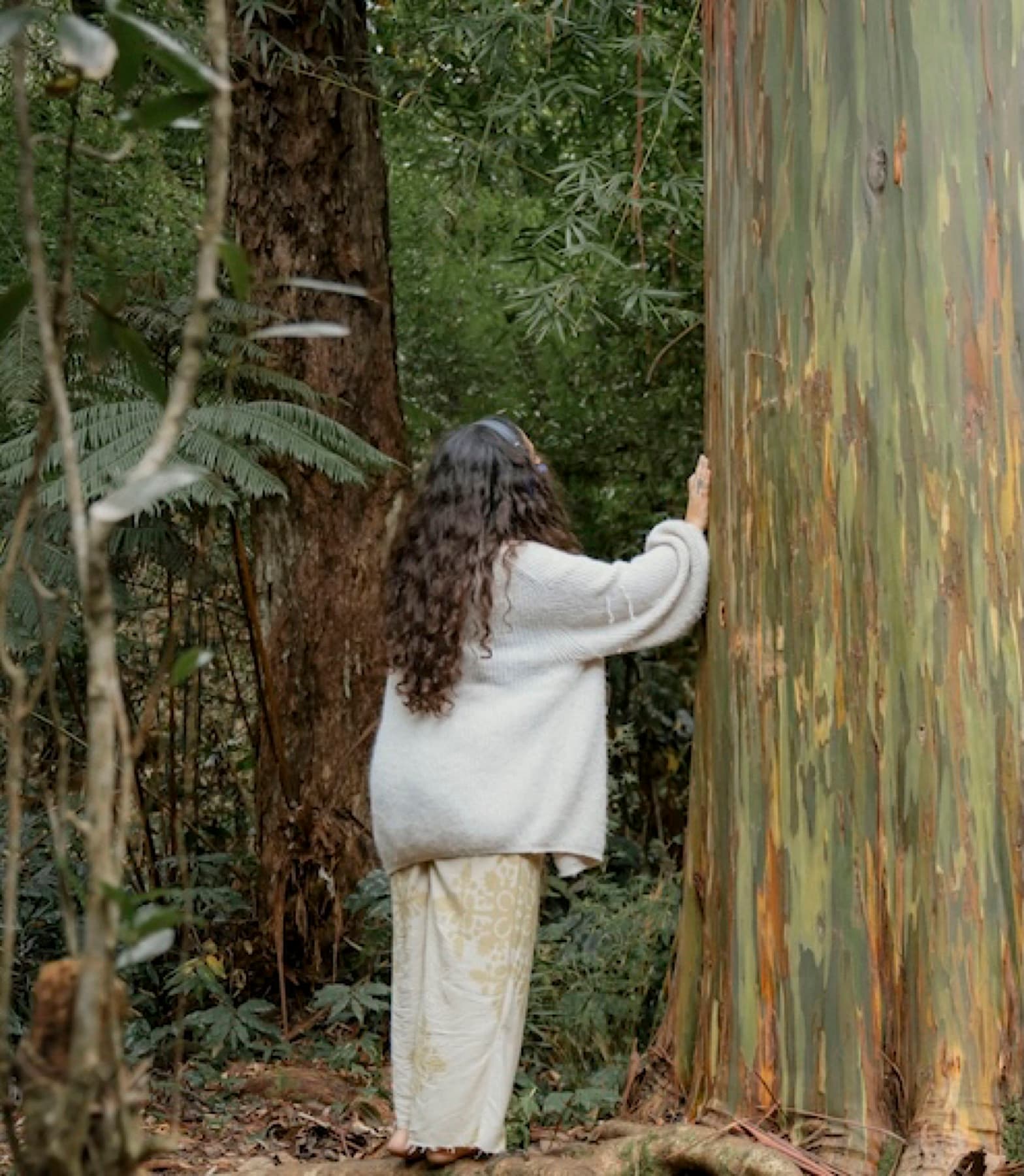 Nature Immersion