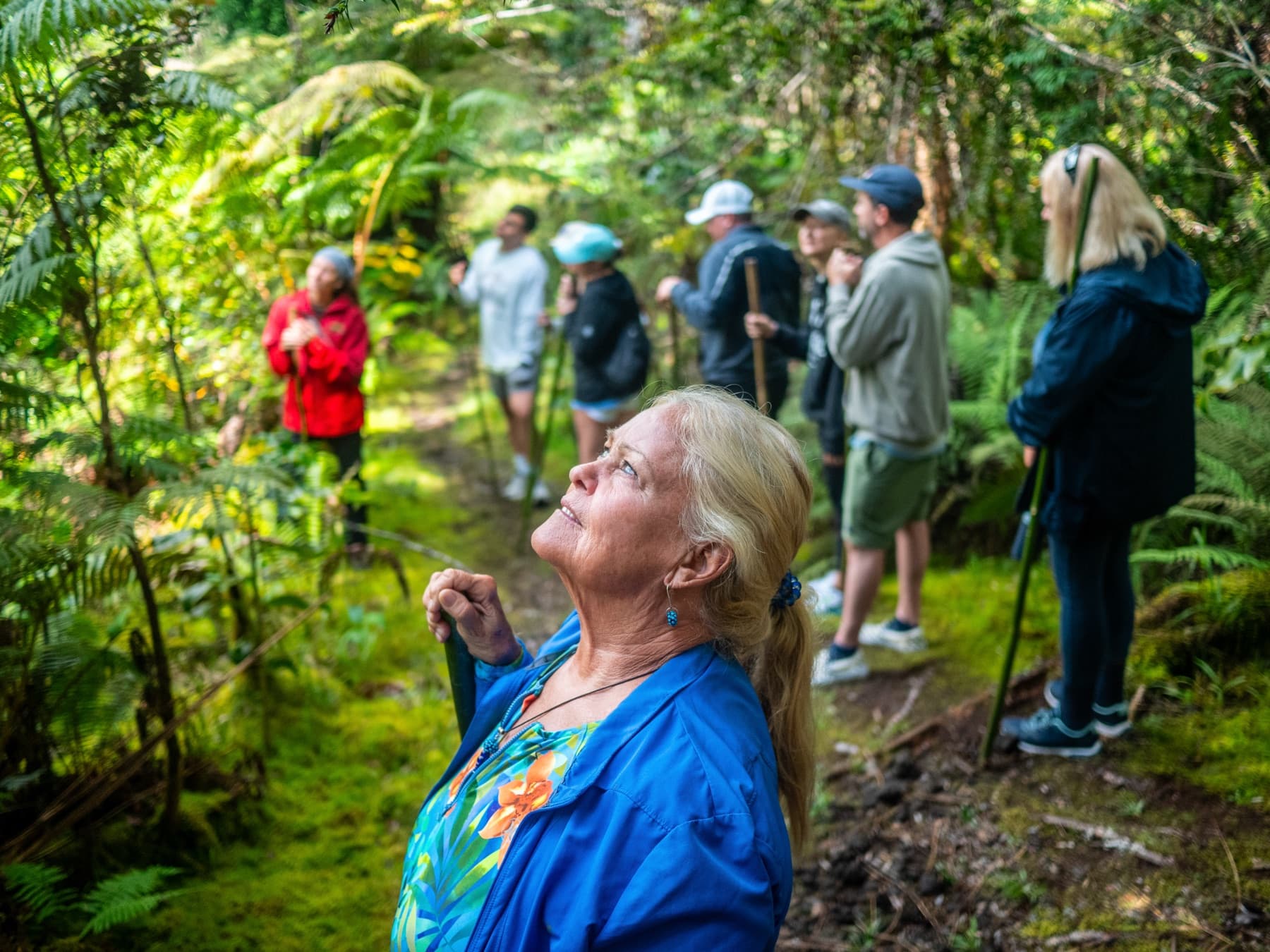 The Kona Cloud Forest Sanctuary